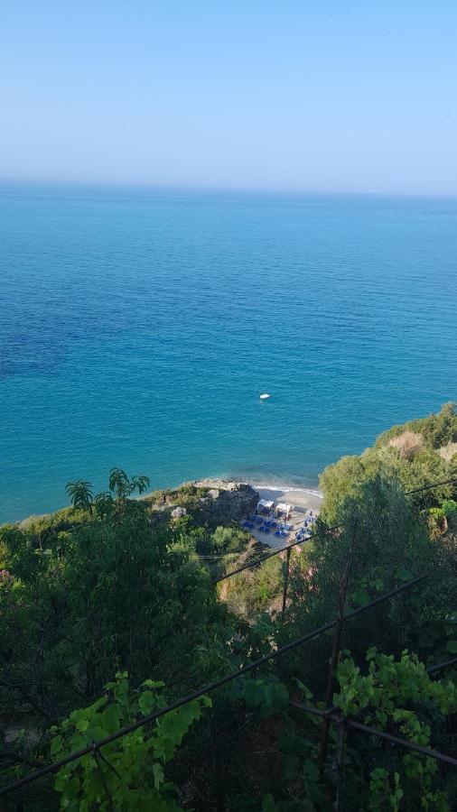 Dim'S Villas Κηπαρό Εξωτερικό φωτογραφία